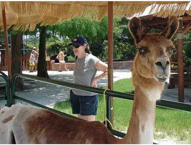 Big Cat Habitat and Gulf Coast Sanctuary - Admission for Four (4)