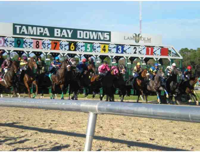 Tampa Bay Downs - A Day of Thoroughbred Racing