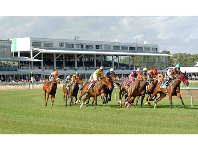 Tampa Bay Downs - A Day of Thoroughbred Racing