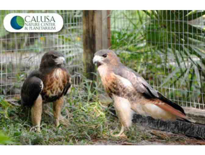 Calusa Nature Center & Planetarium - A One Year Family Membership
