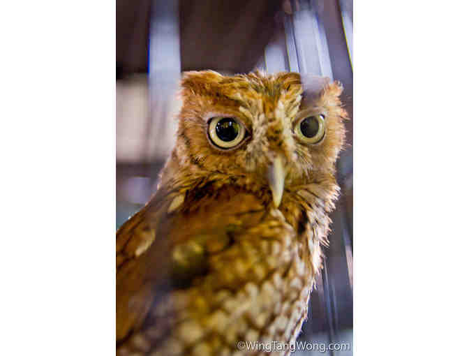 Calusa Nature Center & Planetarium - A One Year Family Membership