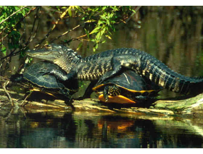 Calusa Nature Center & Planetarium - A One Year Family Membership