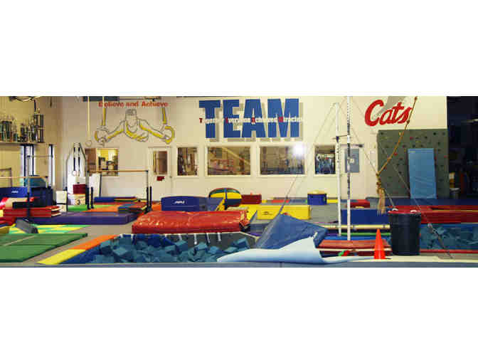 Cats Gymnastics - A $40 Gift Certificate