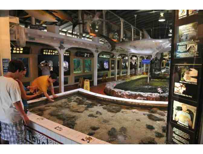 Key West Aquarium - Two (2) VIP Passes