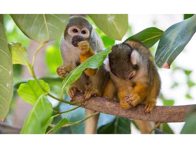 Jungle Island - Admission for Two (2) People