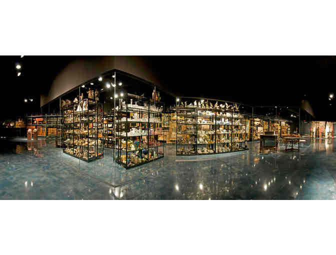 Museum of Arts & Sciences - Daytona Beach, FL. - A Family Membership