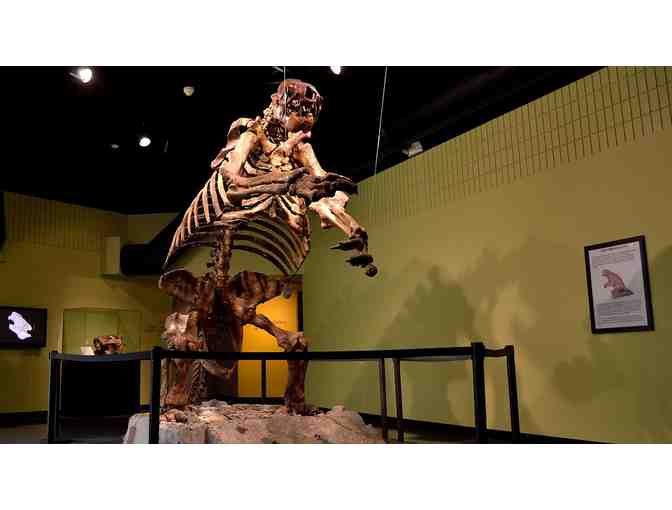 Museum of Arts & Sciences - Daytona Beach, FL. - A Family Membership