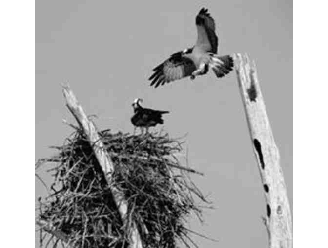 Ostego Bay Foundation, Inc. - A One (1) Year Family Membership