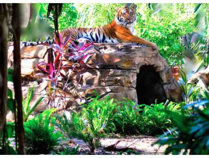 Palm Beach Zoo & Conservation Society - A Family 4-Pack of Tickets