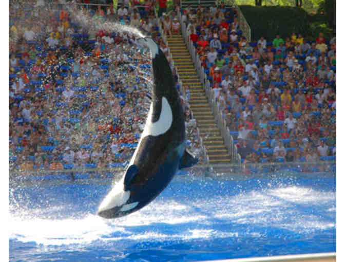 SeaWorld - Four (4) tickets to SeaWorld Orlando