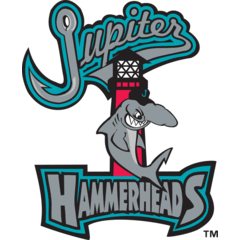 Jupiter Hammerheads