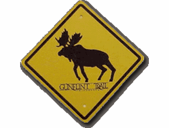 Gunflint Lodge Adventure Package