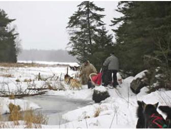 White Wilderness Sled Dog Adventure