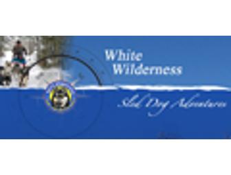 White Wilderness Sled Dog Adventure