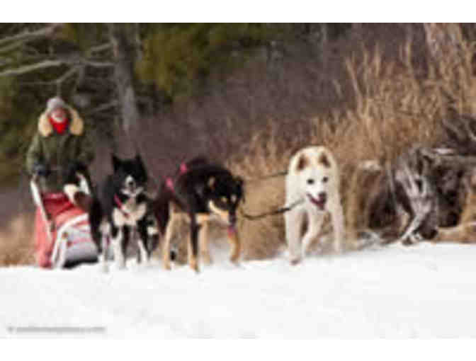 WHITE WILDERNESS SLED DOG DAY TRIP FOR 2 - ELY, MN