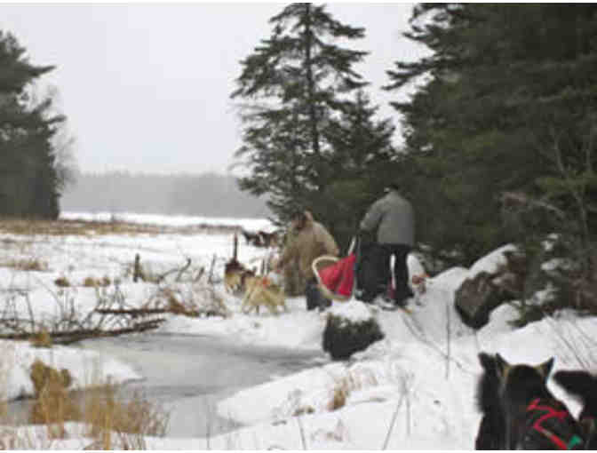 WHITE WILDERNESS SLED DOG DAY TRIP FOR 2 - ELY, MN