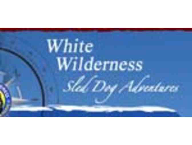 WHITE WILDERNESS SLED DOG DAY TRIP FOR 2 - ELY, MN