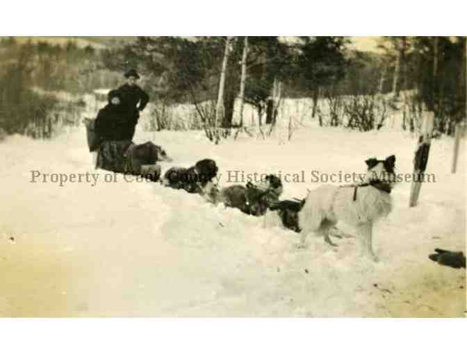 LIFETIME MEMBERSHIP TO THE COOK COUNTY HISTORICAL SOCIETY
