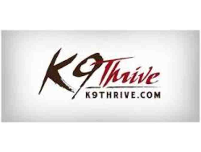 K9 THRIVE (1 lb) PREMIUM PROBIOTIC & ENZYME FORMULA