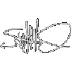 Stephan Hoglund Photograpy