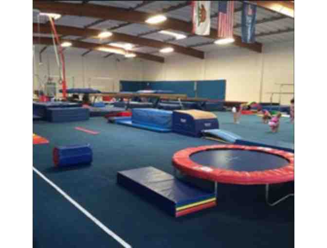 MEGA Gymnastics - Gift Basket including one month (4) free classes/paid annual membership