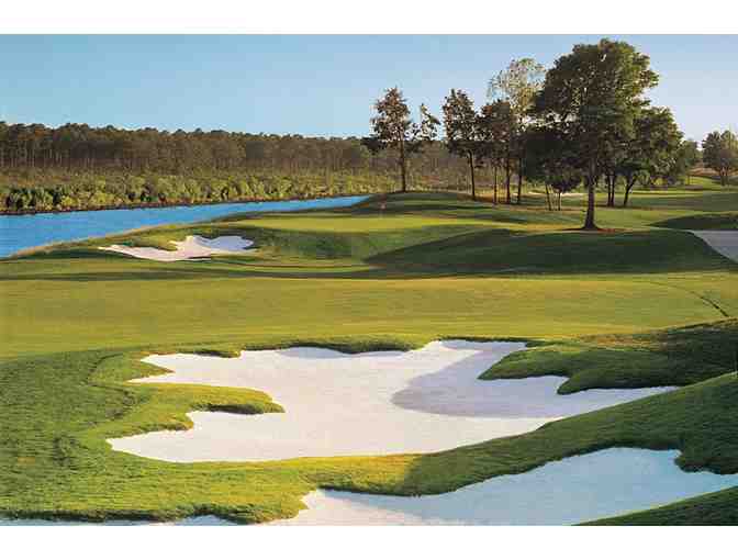A Round of Golf for Four - South Carolina Courses