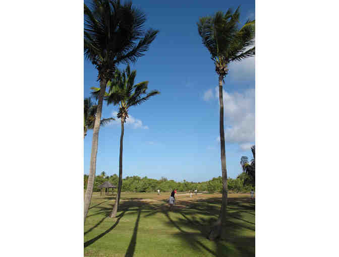 7 Nights - Palm Island The Grenadines