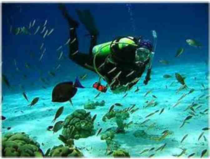 Four Night Stay - Curacao Marriott Resort & Emerald Casino, Curacao, Dutch Caribbean