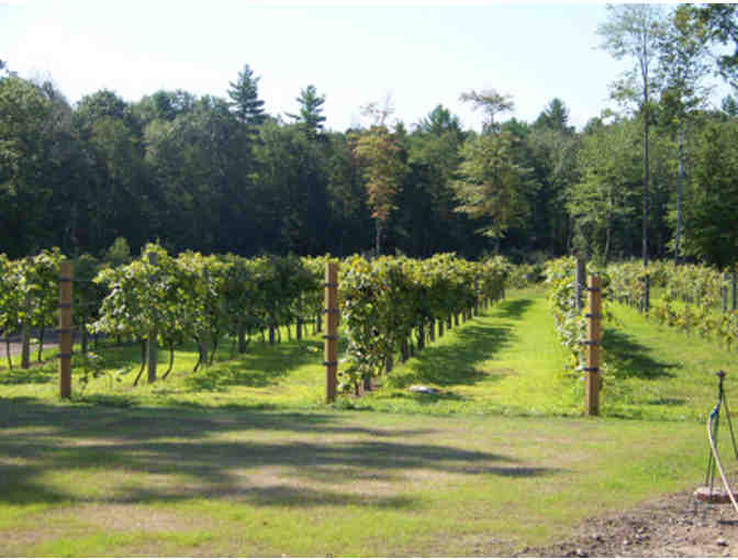 Zorvino Vineyards Tour & Wine Tasting in Sandown, NH