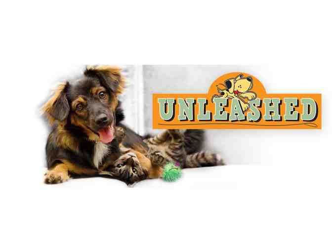 $50 Gift Card to Unleashed - New London - Photo 1