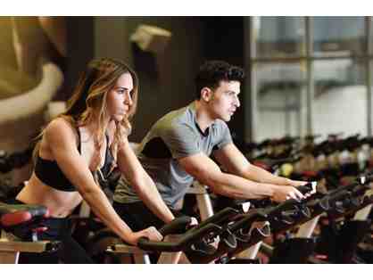 12 Month Family Premier Membership to the Executive Health & Sports Center