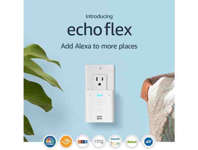 Alexa Echo Flex