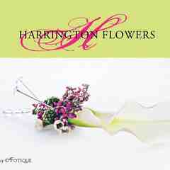 Harrington Flowers