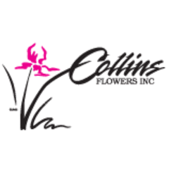Collins Flowers