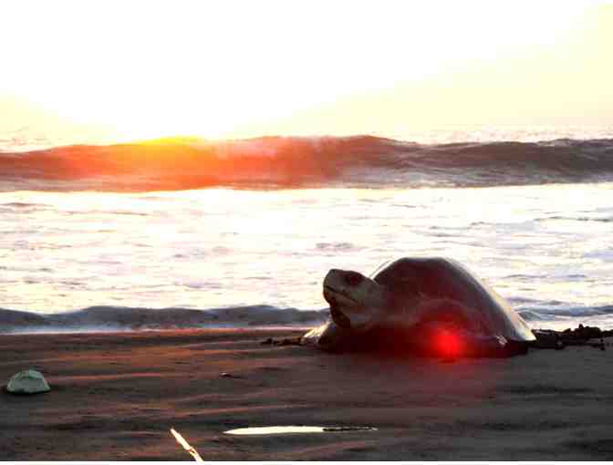 One-week stay for up to 6 people in a Costa Rica Villa