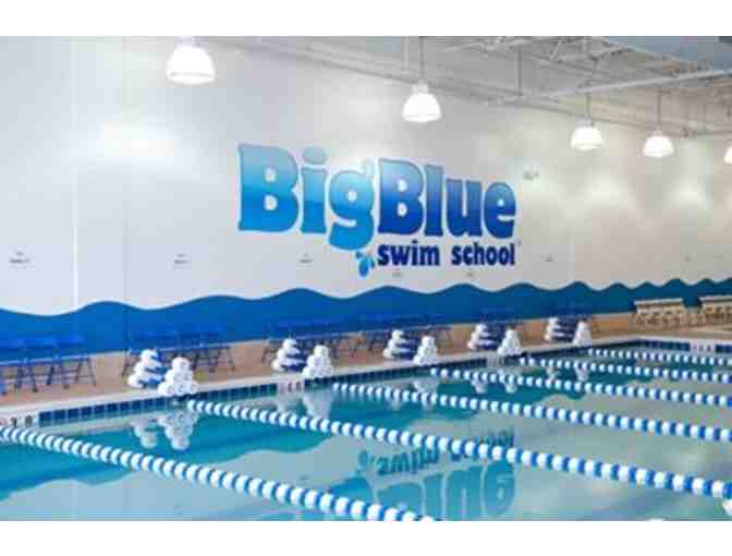 Big Blue Swim Lessons - Photo 1