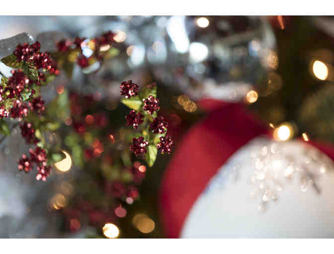 A Home for the Holidays - Canines With a Cause & Children's Justice Center @ Hugo Coffee