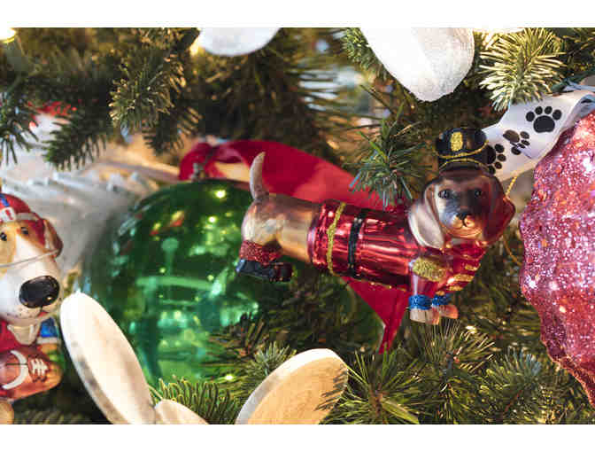 A Home for the Holidays - Canines With a Cause & Children's Justice Center @ Hugo Coffee