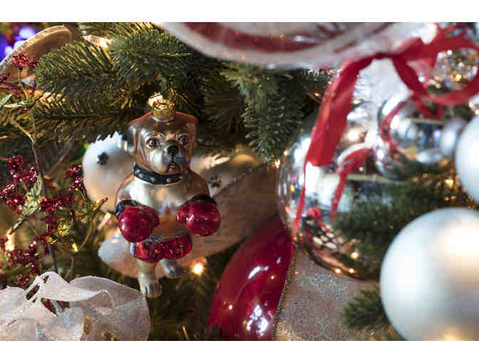 A Home for the Holidays - Canines With a Cause & Children's Justice Center @ Hugo Coffee