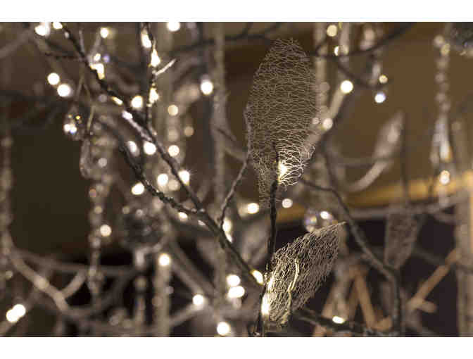 Chandelier in Winter - Park City Institute @ St. Regis Deer Valley