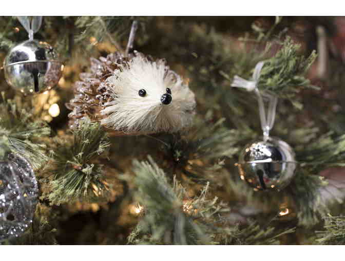 Woodland Animal Wonderland! - Park City Ice Miners @ Park City Ice Arena