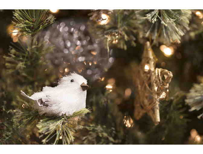 Woodland Animal Wonderland! - Park City Ice Miners @ Park City Ice Arena