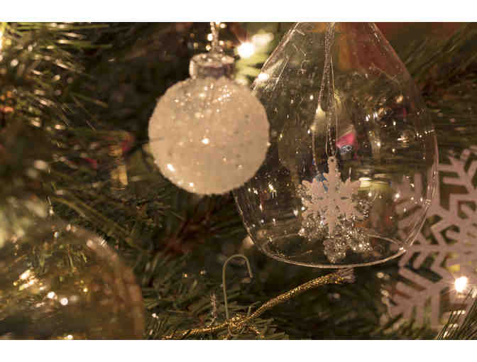 The Peace Tree - The Peace House @ Lespri