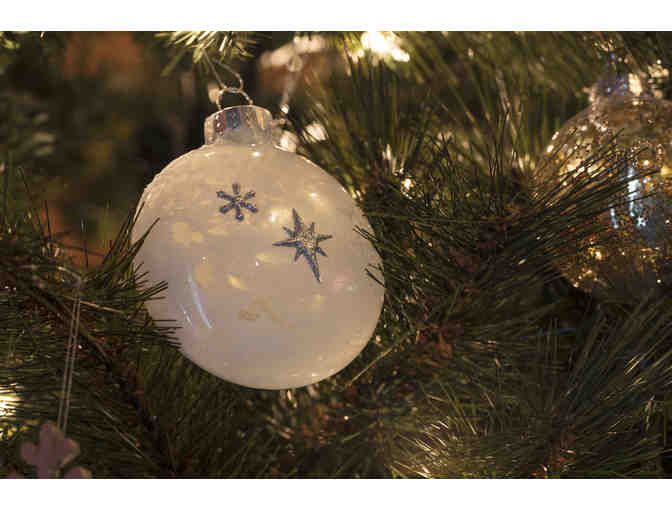 The Peace Tree - The Peace House @ Lespri