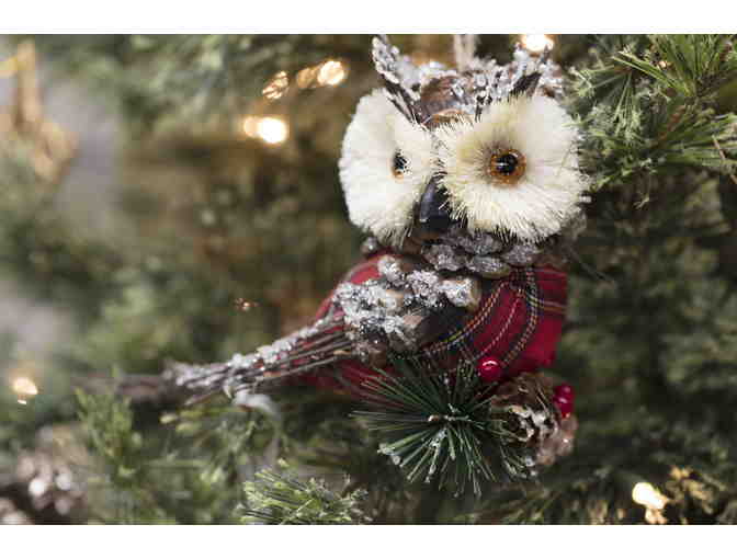 Woodland Animal Wonderland! - Park City Ice Miners @ Park City Ice Arena