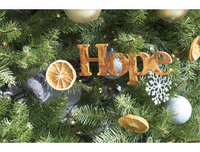Hope for Health - The Hope Alliance @ Orange Theory