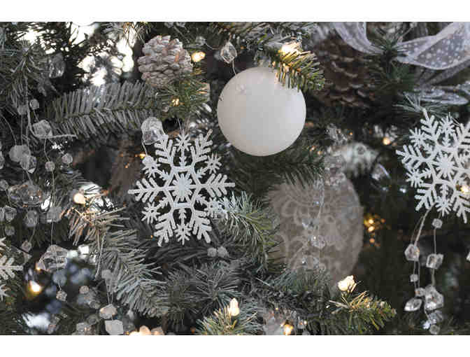 Get Ready for Snow! - Youth Sports Alliance @ USSA Center for Excellence