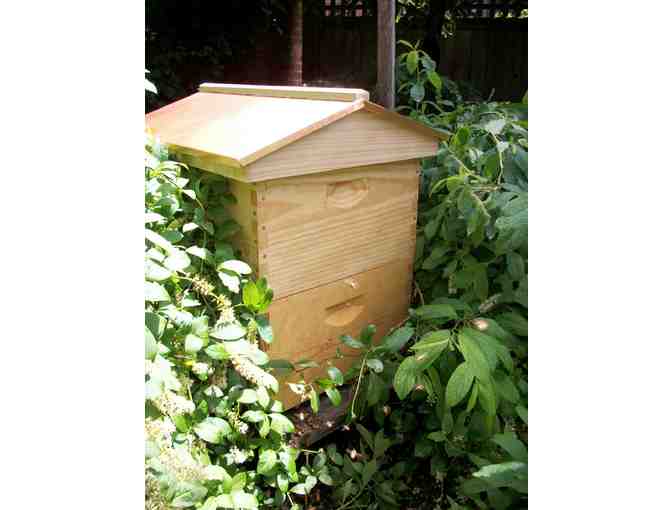 The Best Bees Company - Instillation and Maintenance of a Beehive