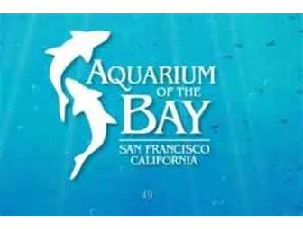 Aquarium of the Bay: Four Passes