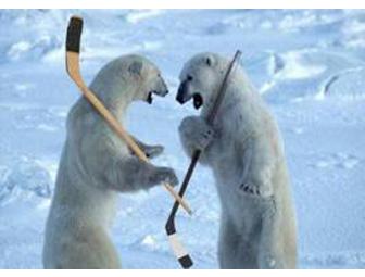 San Francisco Bulls, Two Tickets 2012-2013 Season